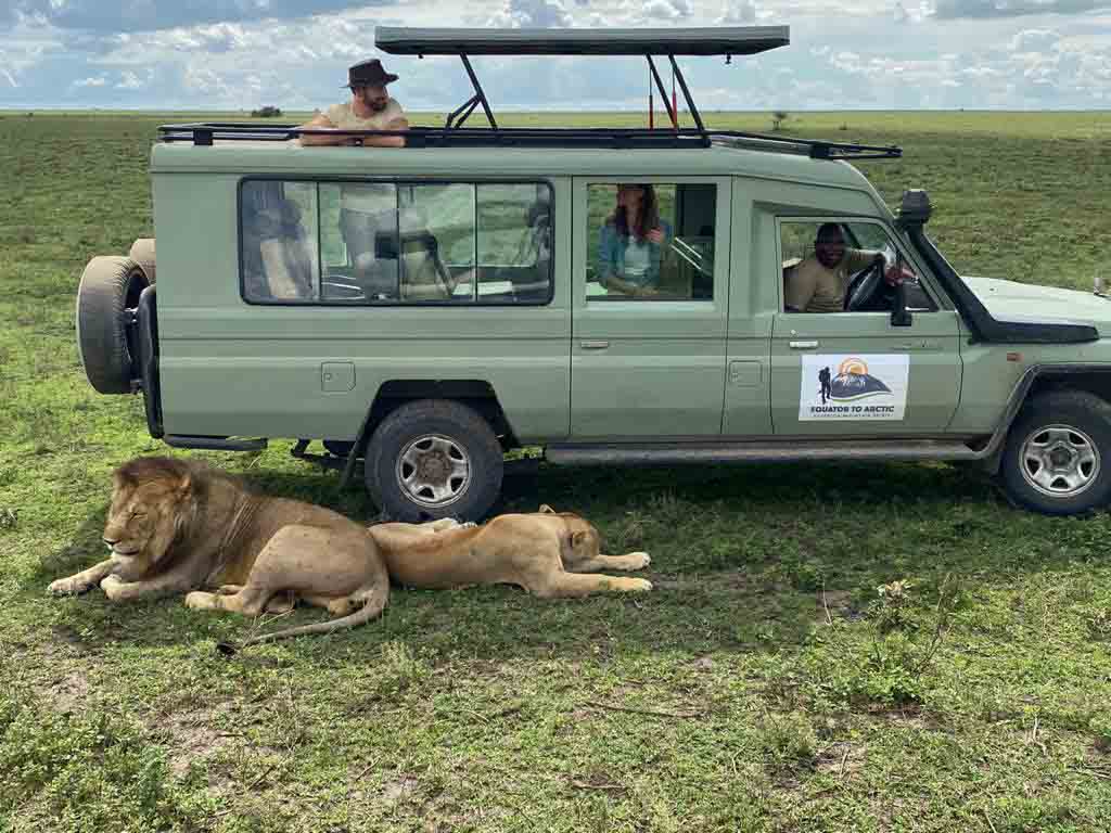 safari vehicle brand