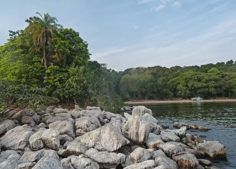 rubondo-island-lake-victoria