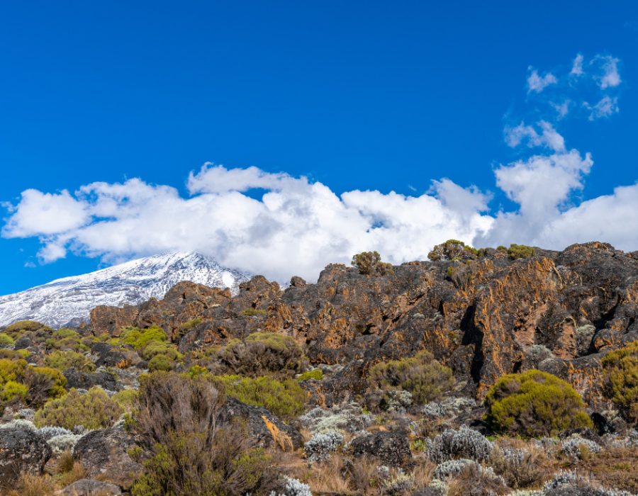beautiful-landscape-tanzania-kenya (1)